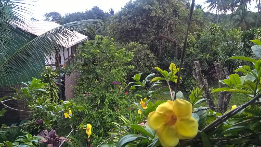 Recanto Solar Da Paz Velha Boipeba Exterior foto